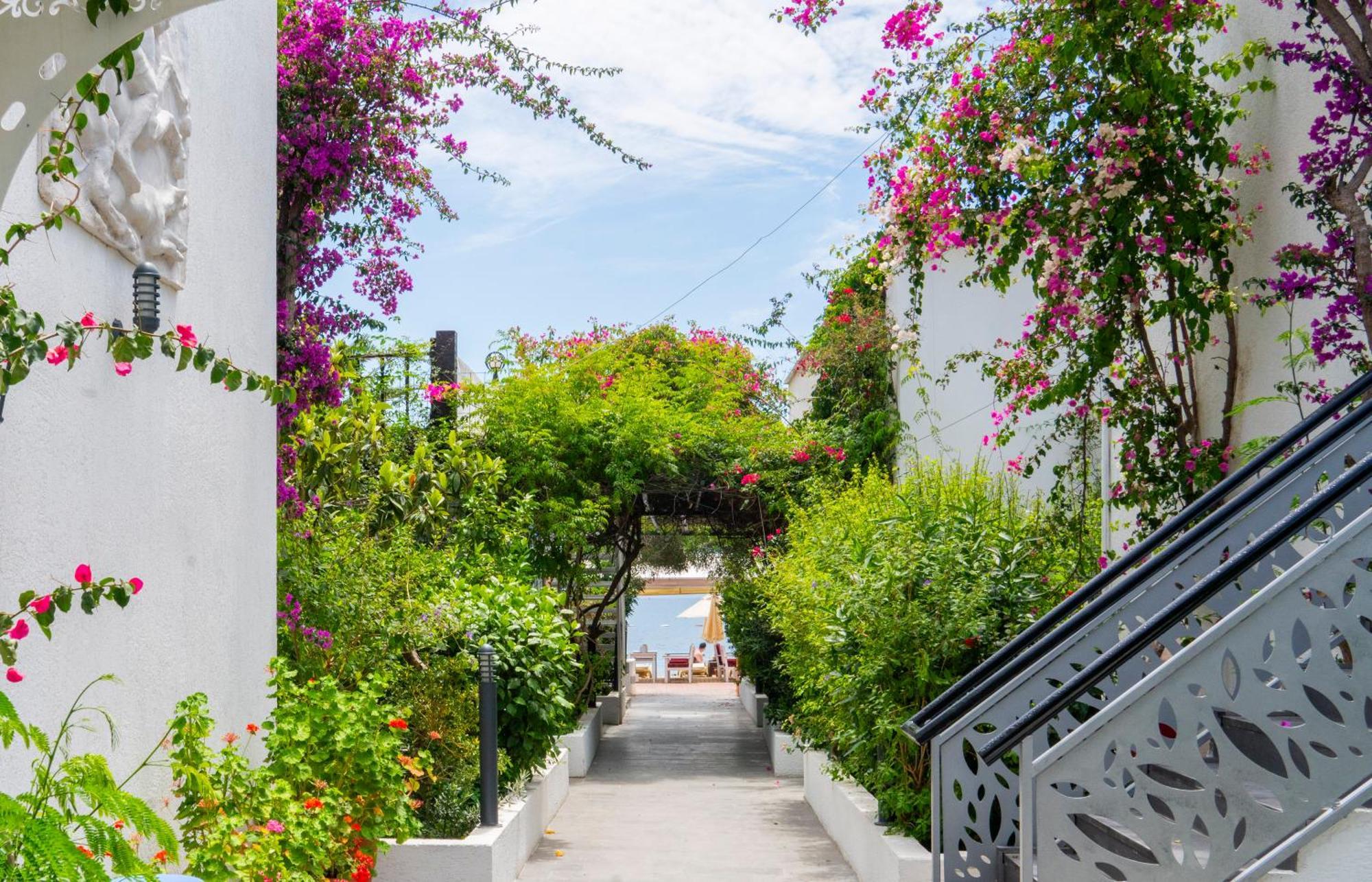 Manuela Boutique Hotel Bitez Bagian luar foto