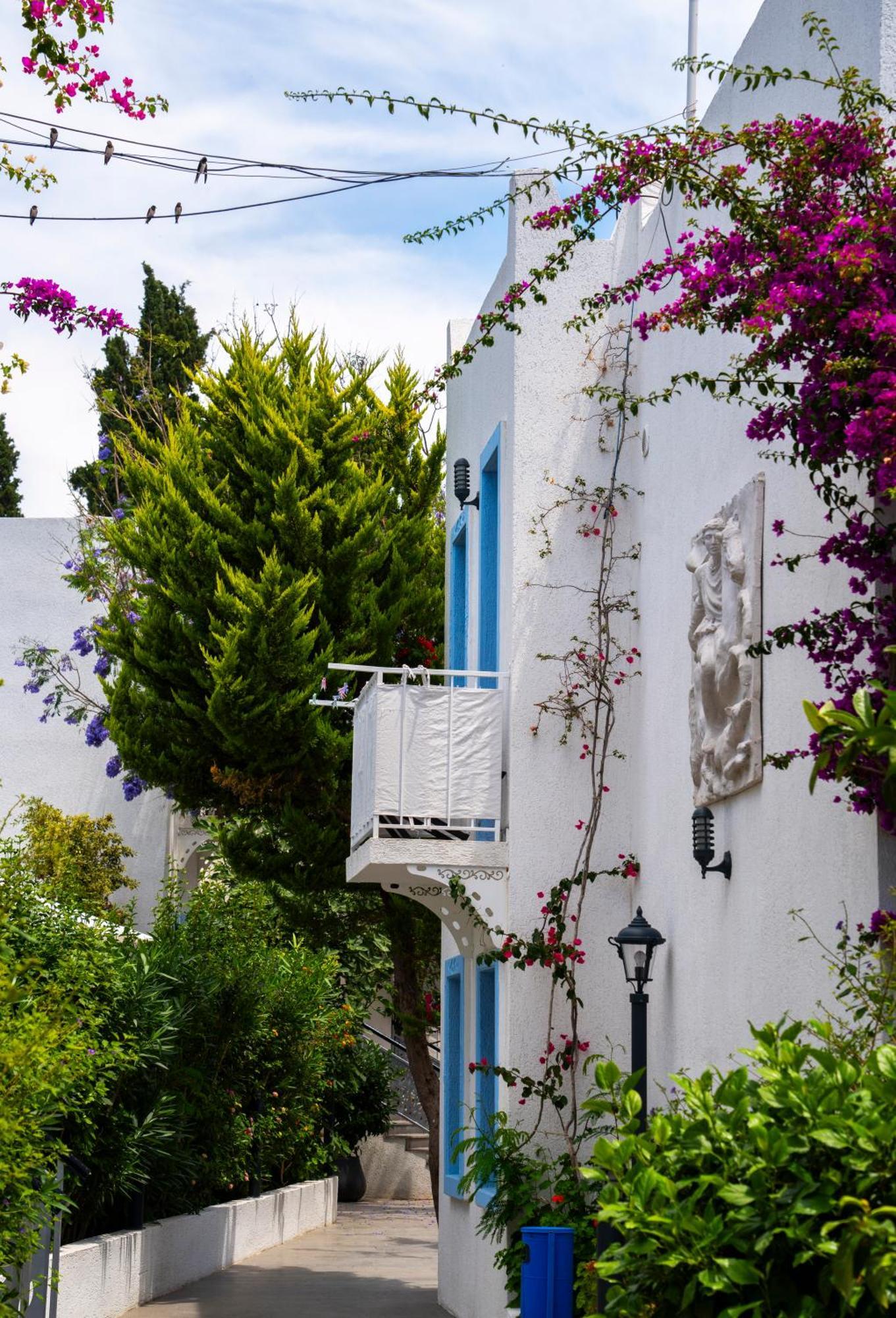 Manuela Boutique Hotel Bitez Bagian luar foto