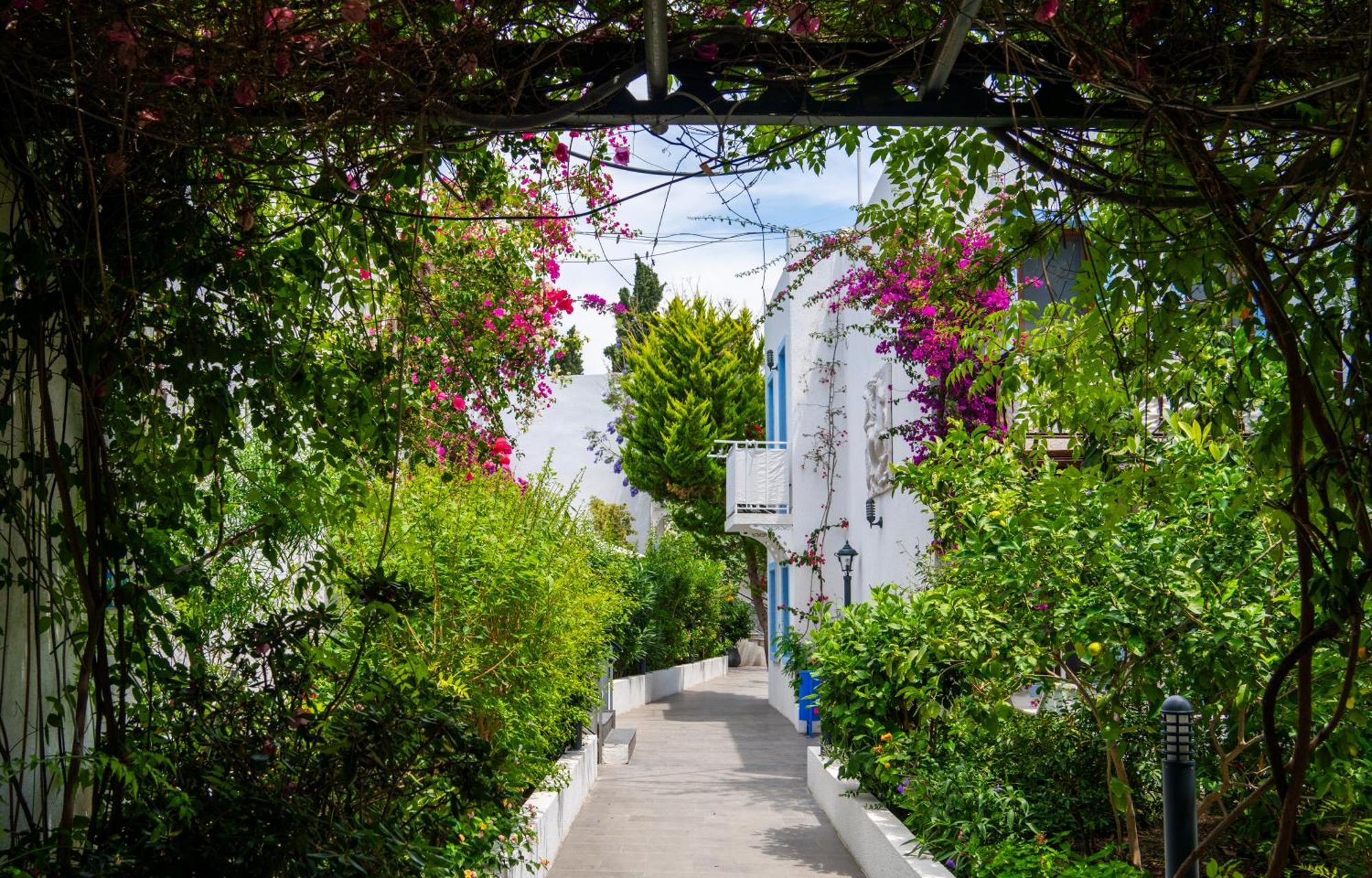 Manuela Boutique Hotel Bitez Bagian luar foto