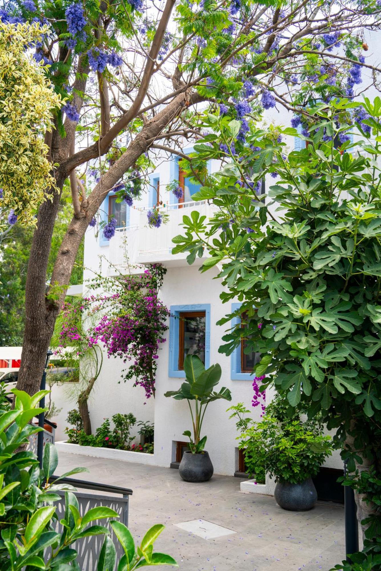 Manuela Boutique Hotel Bitez Bagian luar foto