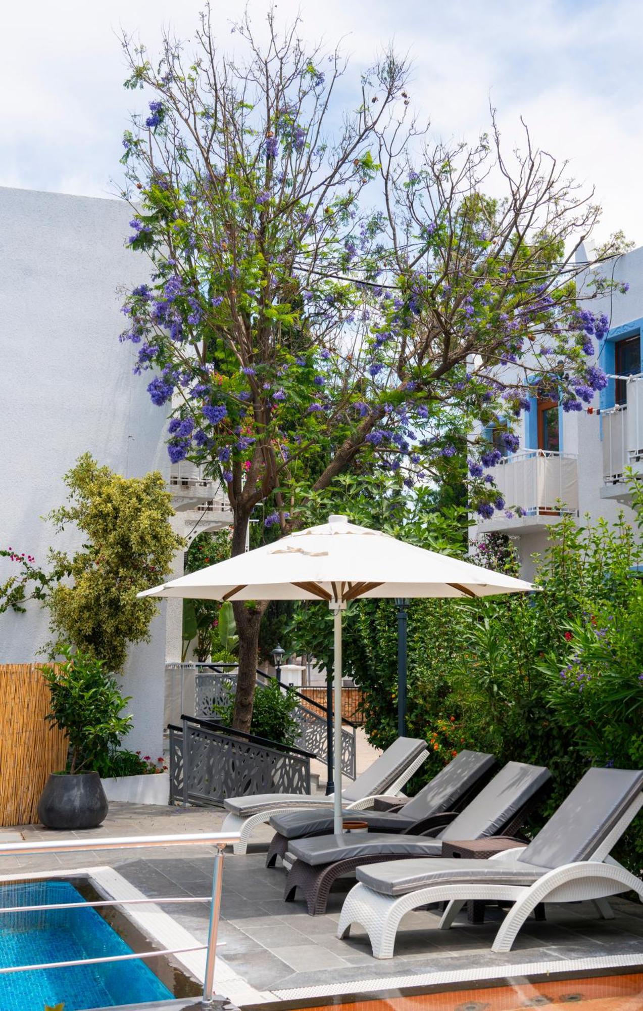 Manuela Boutique Hotel Bitez Bagian luar foto
