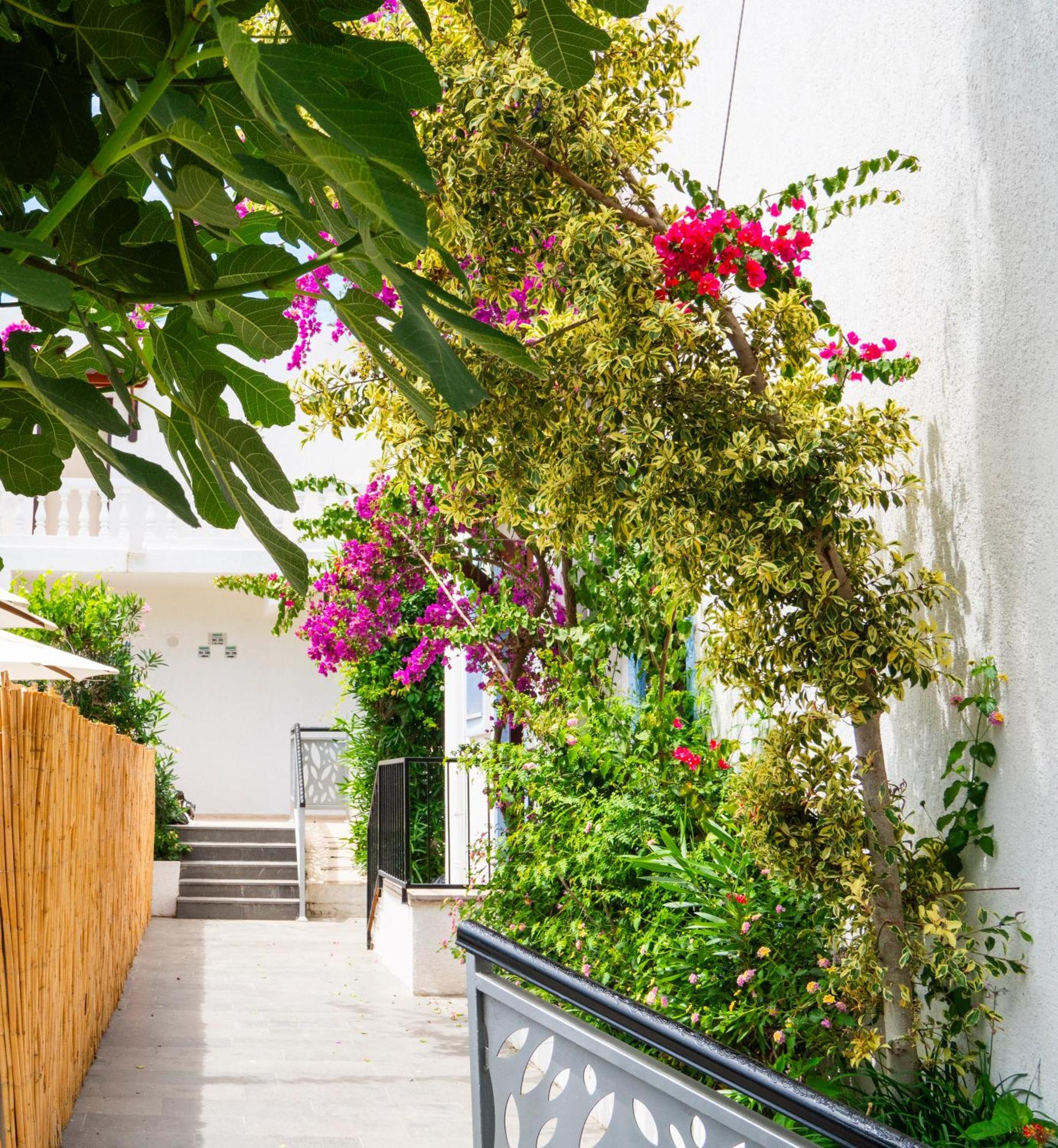 Manuela Boutique Hotel Bitez Bagian luar foto