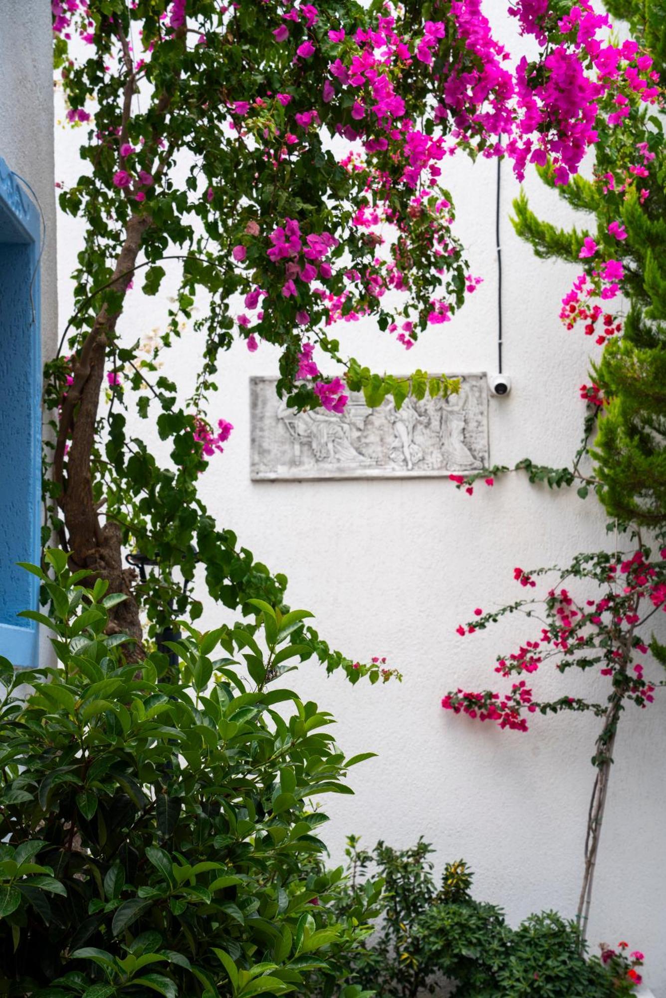 Manuela Boutique Hotel Bitez Bagian luar foto