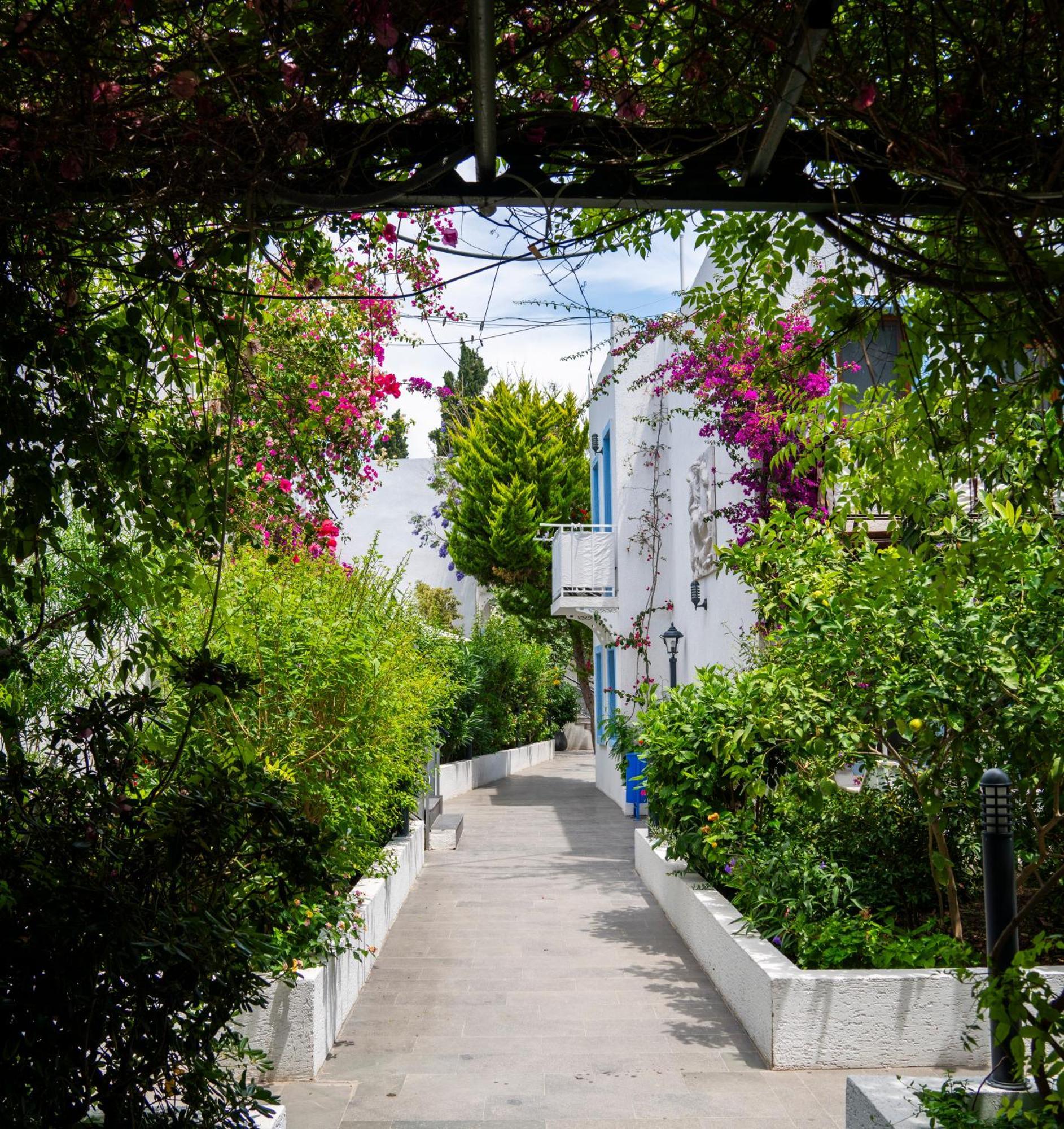 Manuela Boutique Hotel Bitez Bagian luar foto