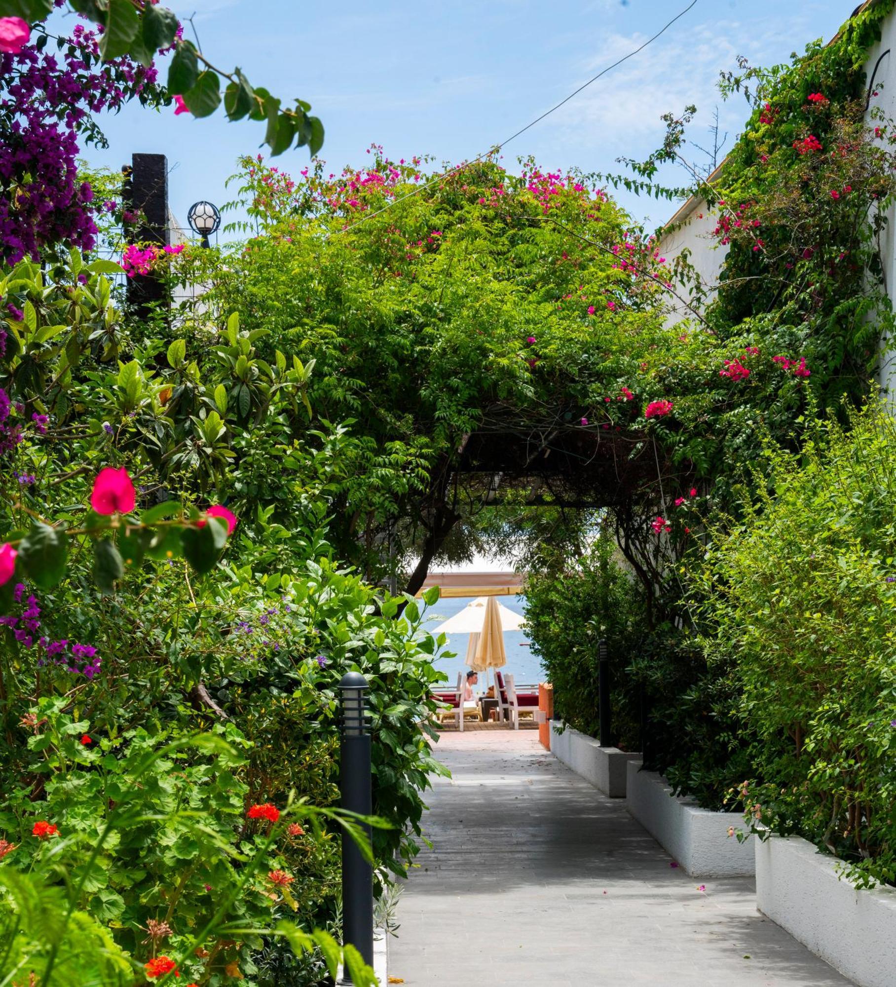 Manuela Boutique Hotel Bitez Bagian luar foto